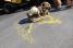 Drawing of the Roadsign kangaroo (2) (277x)