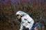 Cyril Dessel (AG2R La Mondiale) (3) (366x)