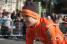 Romain Sicard (Euskaltel-Euskadi) (641x)