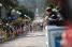 The bunch sprint at 100 meters from the finish in Porto-Vecchio (882x)