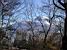 Mont-Blanc (169x)