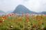 Touristic view of Lugano (383x)