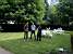 Vincent, Thomas & Virginie (252x)