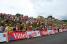 Many people at the finish (508x)