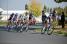 The leading group in Vendme: Jorgensen, Meyer, Krivtsov, Geschke, Maes, Saramotins, Flecha & Pichon (871x)