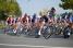 The peloton in Vendme (2) (538x)