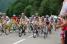 The peloton (501x)
