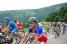 Pierre Rolland & Thomas Voeckler (Bbox Bouygues Telecom) (472x)