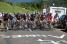 The peloton (467x)
