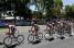 Peloton led by Jos van Emden, Coen Vermeltfoort & Pieter Weening (Rabobank) (479x)