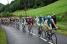 The peloton (473x)