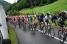 Andy Schleck (Saxo Bank) & Alberto Contador (Astana) (507x)