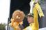 Tony Martin (HTC-Highroad) in yellow (2) (761x)