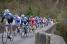The peloton on the bridge of Saint-Fiacre (685x)