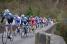 The peloton on the bridge of Saint-Fiacre (499x)