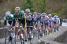 The peloton on the bridge of Saint-Fiacre (3) (699x)