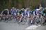 The peloton turning left (436x)