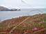 [San Francisco] - The nature area on the other side of the Golden Gate Bridge (702x)