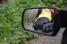 The breakaway in the mirror (506x)