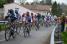 The peloton (441x)
