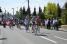 The leading group in the feeding zone (498x)