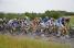 Thibaut Pinot (FDJ) in the peloton (503x)