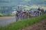 The peloton (483x)
