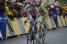 Jelle Vanendert (Omega Pharma-Lotto) (526x)