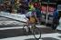 Jelle Vanendert (Omega Pharma-Lotto) (584x)