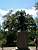 [Boston] - Statue of one of the soldiers in Concord (532x)