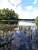 [Boston] - A lake near Concord (459x)