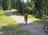 Mountain biking in the Vosges (1119x)