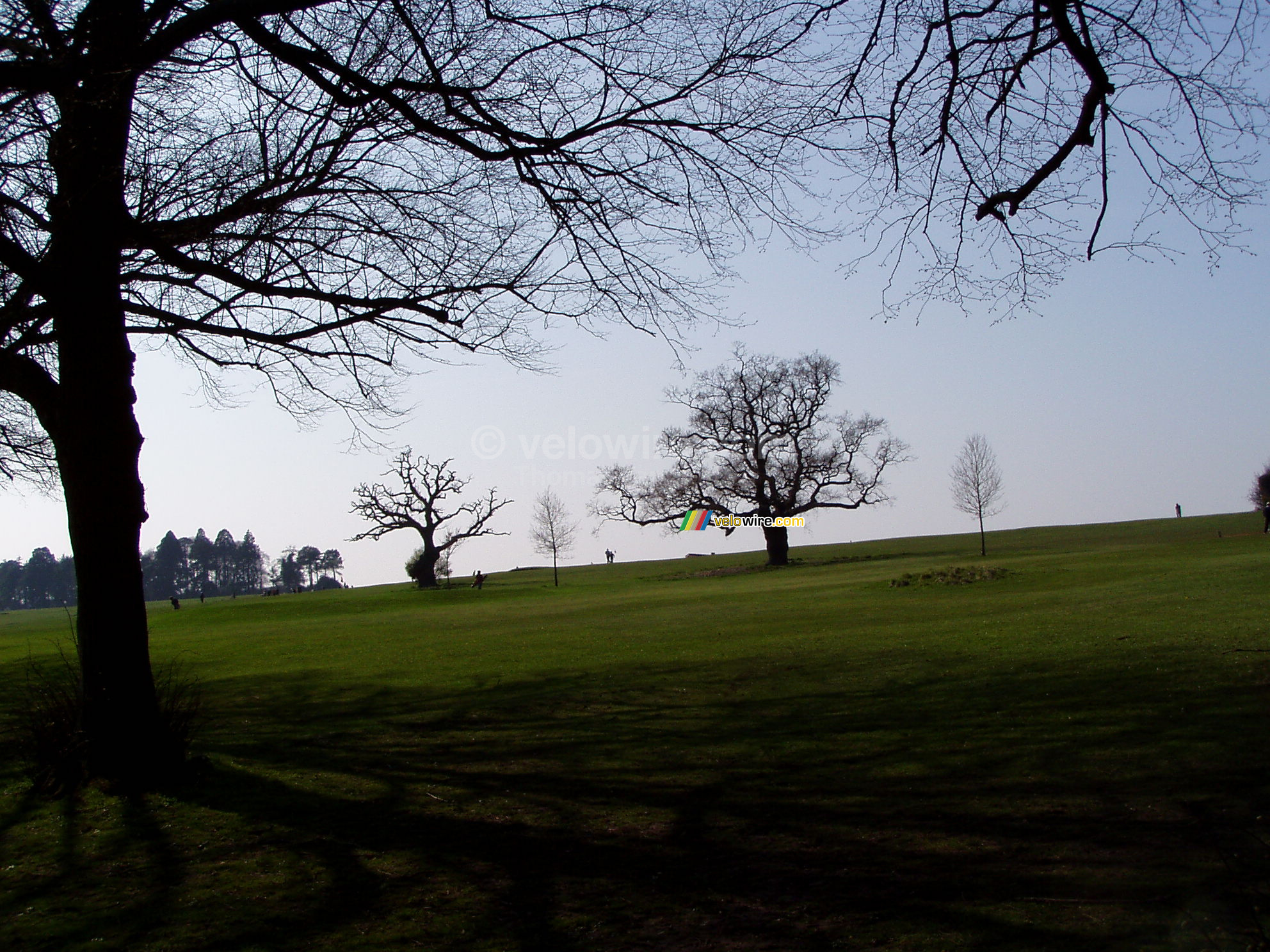 Bomen in  een park/golfbaan in Bristol