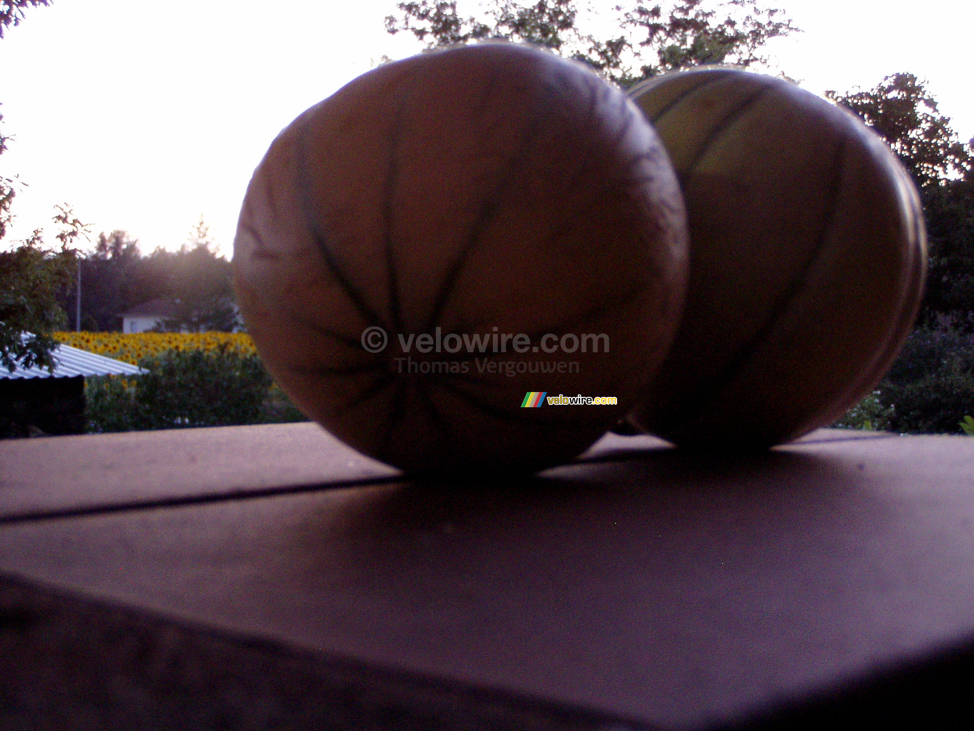 A still life of two melons