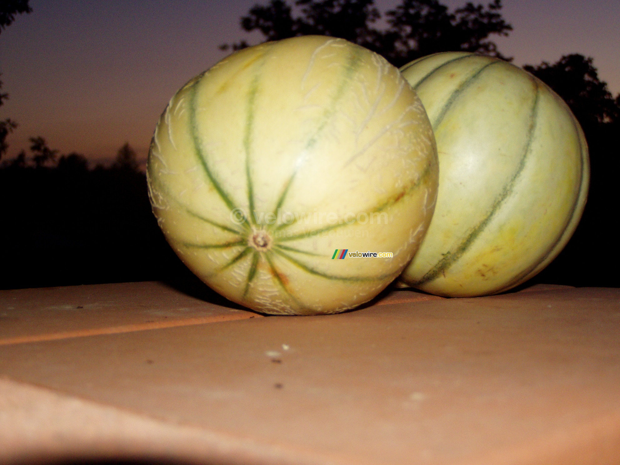 A still life of two melons