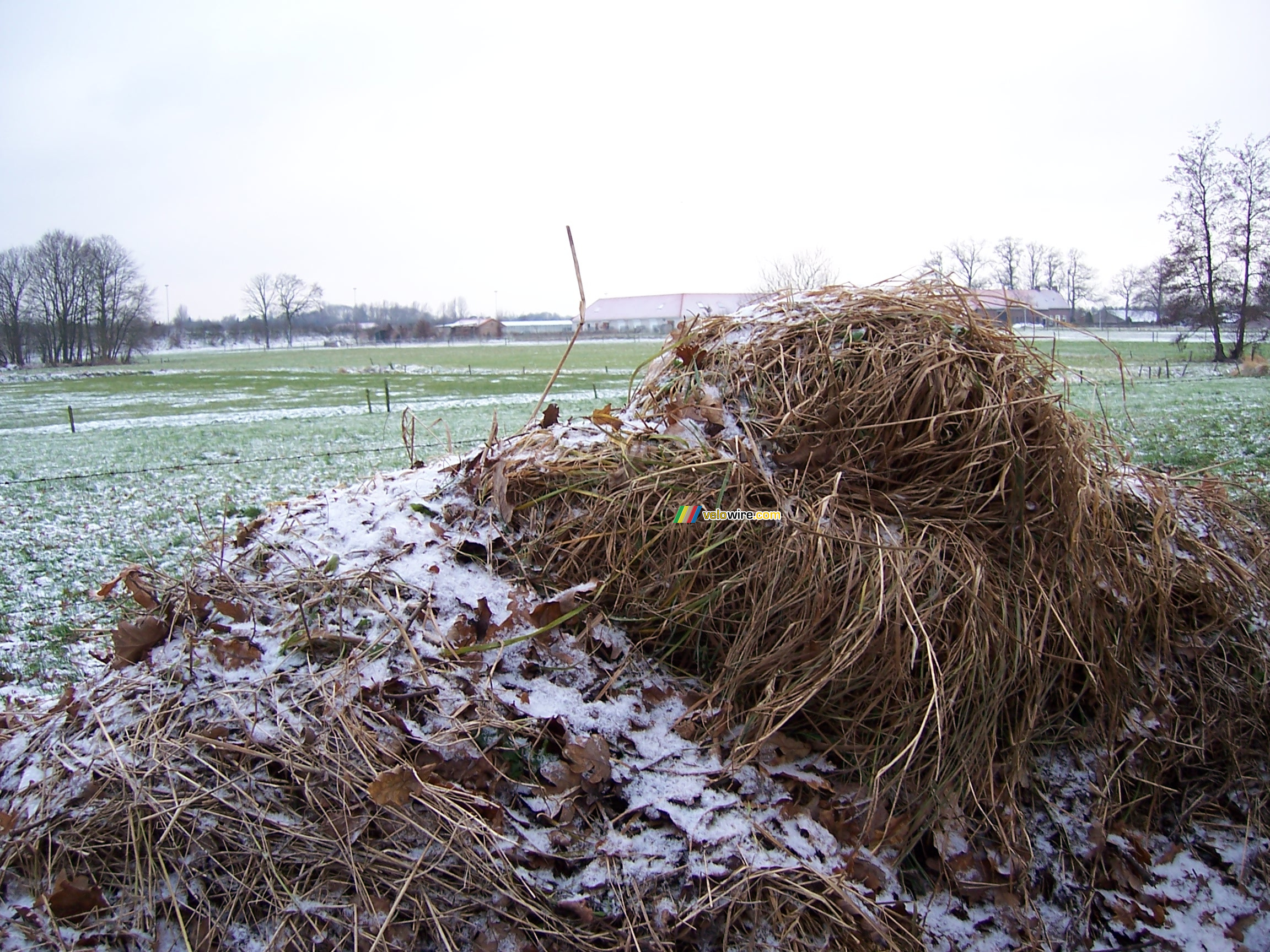 Een winterbeeld II