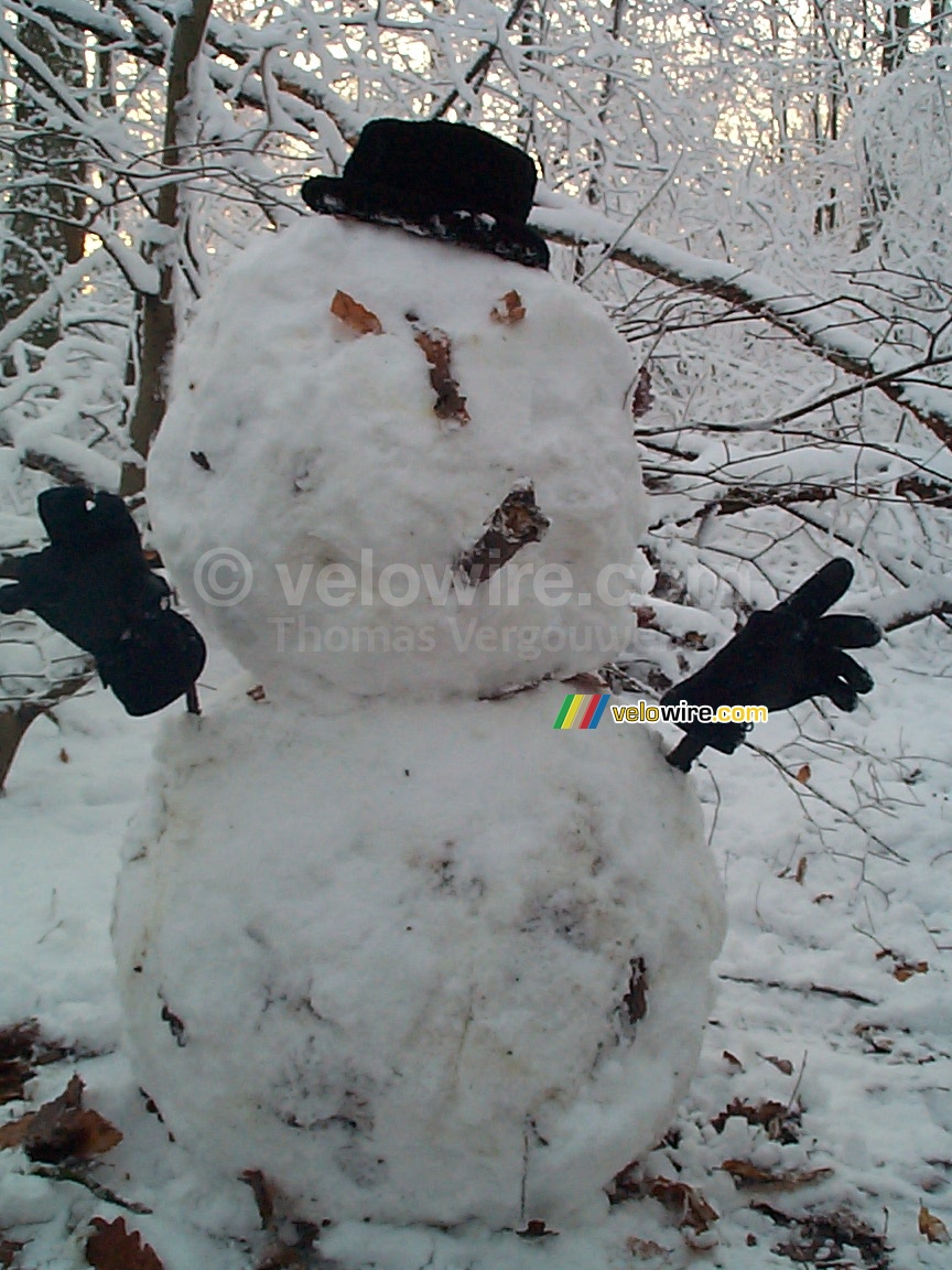 Our snowman in the woods of Meudon