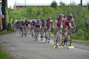 Rabobank Continental Team in the peloton (319x)