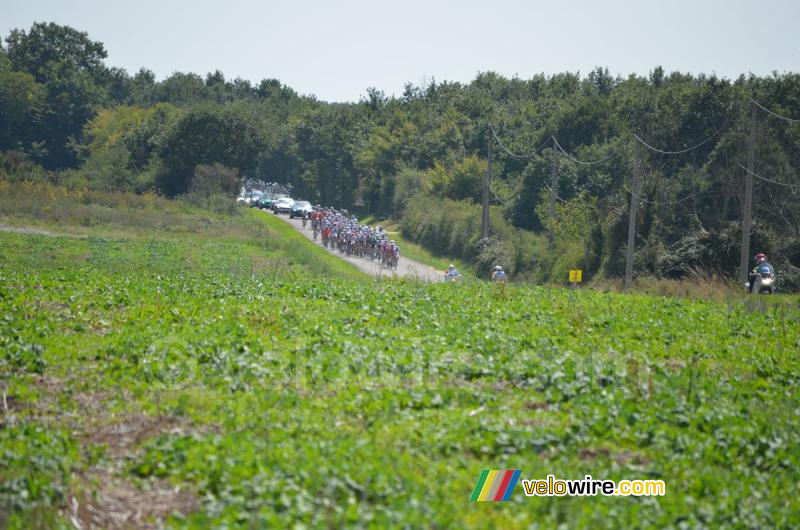 Le peloton