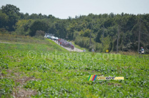 Le peloton (755x)