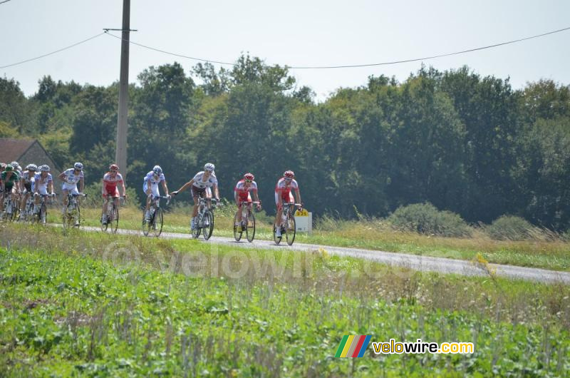 Het peloton maakt zich klaar voor een scherpe bocht naar rechts