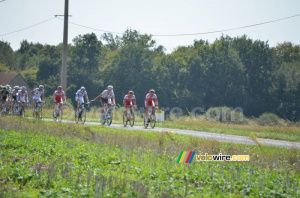 The peloton gets ready for a turn to right (322x)