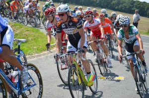 Le peloton dans le virage (2) (598x)