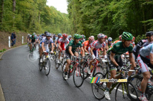 Le peloton sur la Côte d'Eppe-Sauvage (332x)