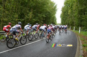 The peloton on the Côte d'Eppe-Sauvage (3) (301x)