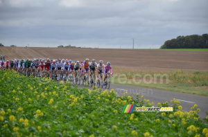 The peloton (2) (650x)