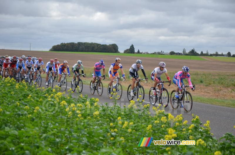 Het peloton (3)