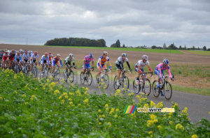 The peloton (3) (602x)