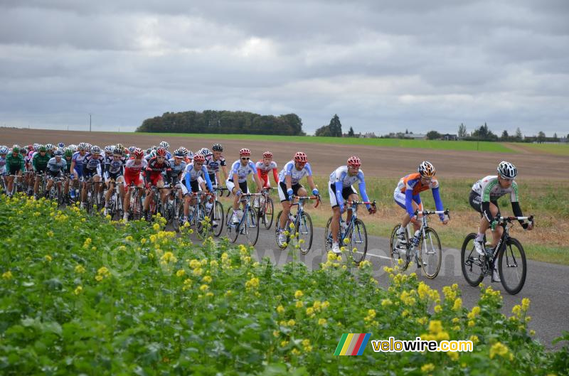 The peloton (4)