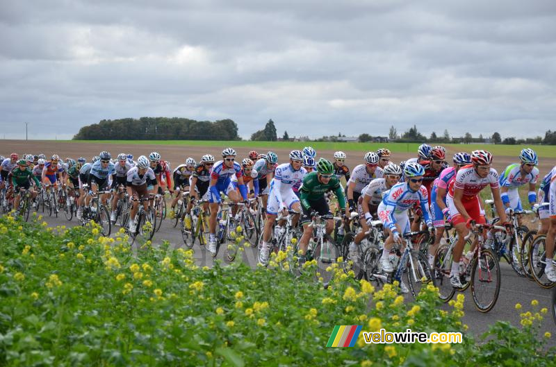 Het peloton (6)